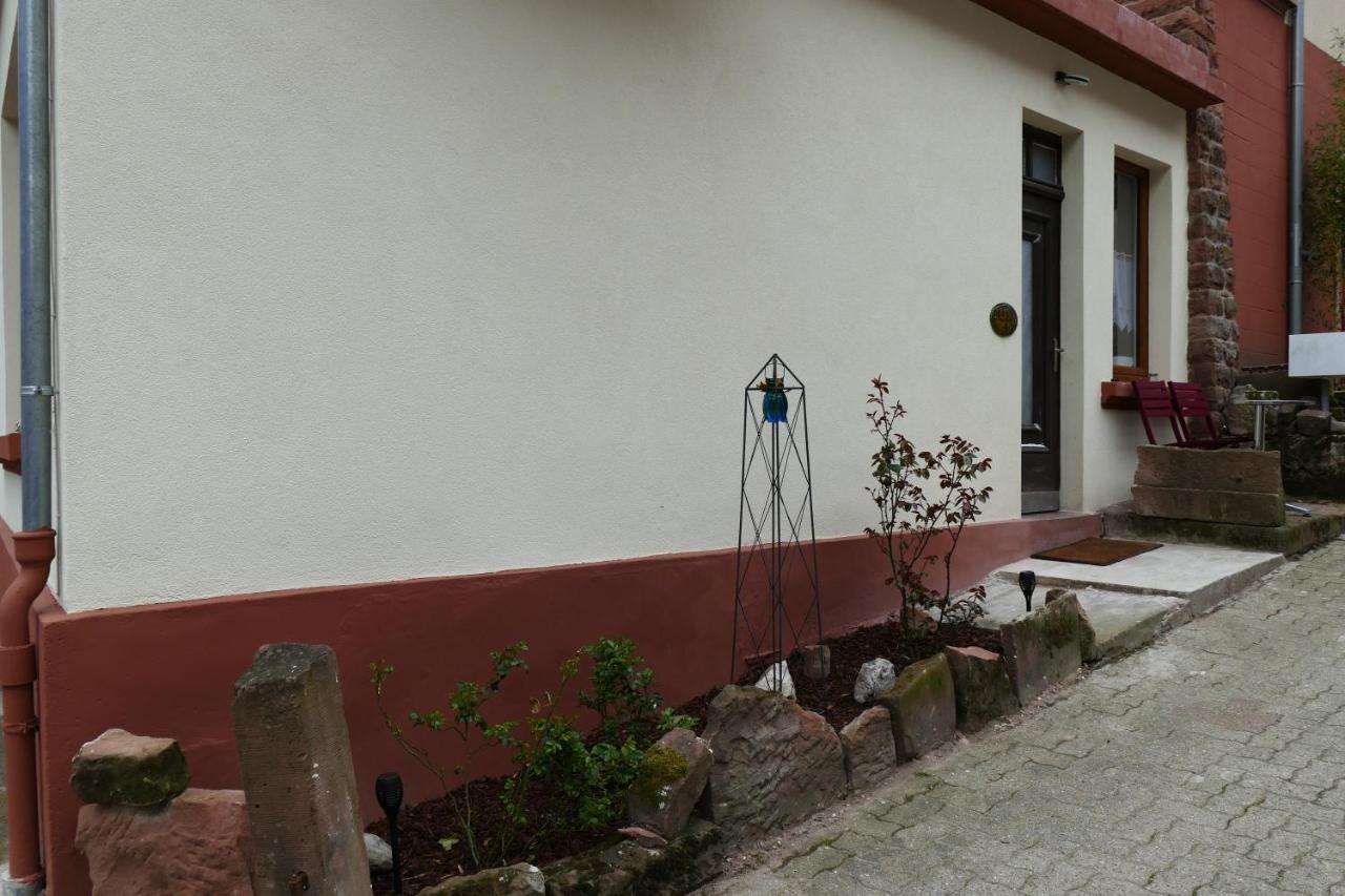 Le gîte des sources: nature, randonnées, détente. Oberbronn Exterior foto